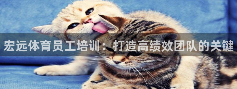 富联娱乐股东：宏远体育员工培训：打造高绩效团队的关键