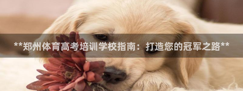 富联官方网站入口查询：**郑州体育高考培训学校指南：