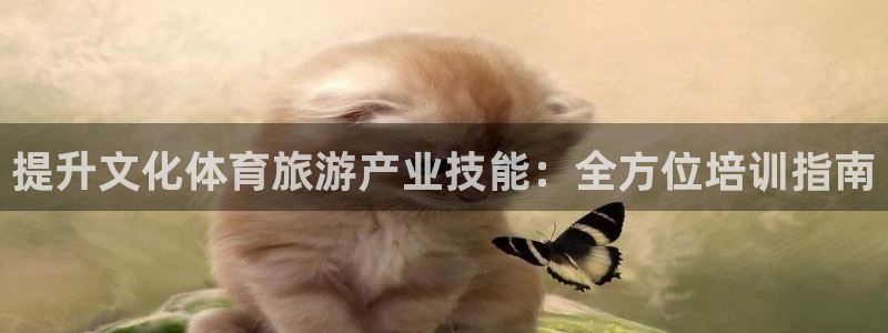 富联娱乐测速地址：提升文化体育旅游产业技能：全方位培