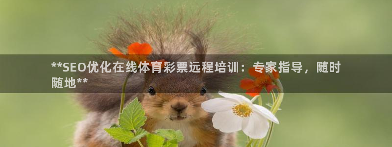 富联官网注册流程图：**SEO优化在线体育彩票远程培