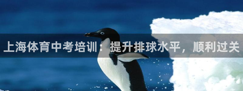富联娱乐正规吗可信吗：上海体育中考培训：提升排球水平