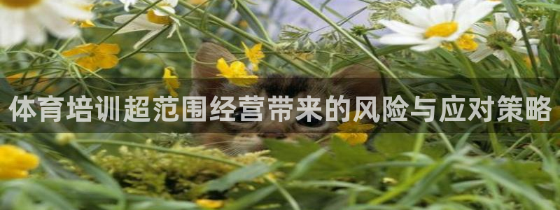 富联平台赢钱不给退怎么办呢：体育培训超范围经营带来的
