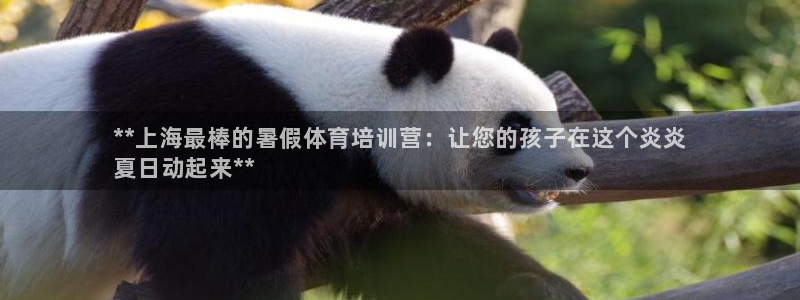 富联娱乐官方网站首页入口：**上海最棒的暑假体育培训