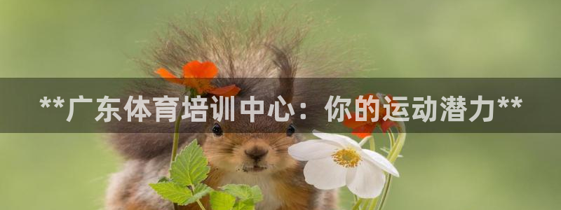富联娱乐平台是什么：**广东体育培训中心：你的运动潜