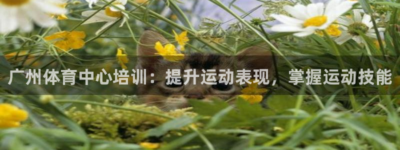 富联娱乐真的吗：广州体育中心培训：提升运动表现，掌握