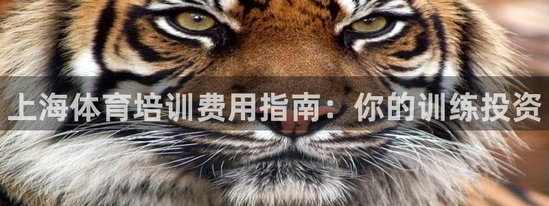 富联娱乐负责人名单：上海体育培训费用指南：你的训练投