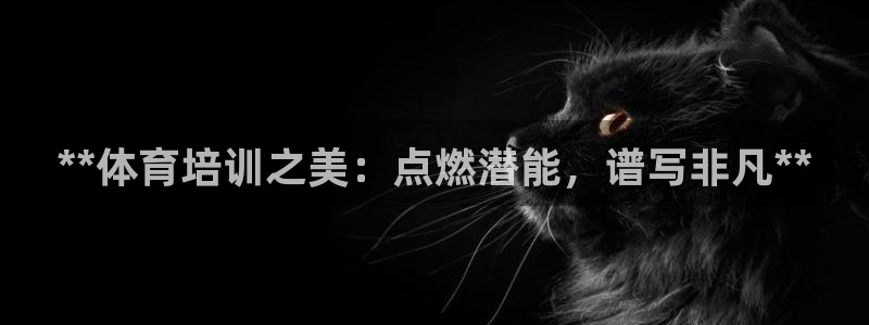 富联平台便7O777：**体育培训之美：点燃潜能，谱