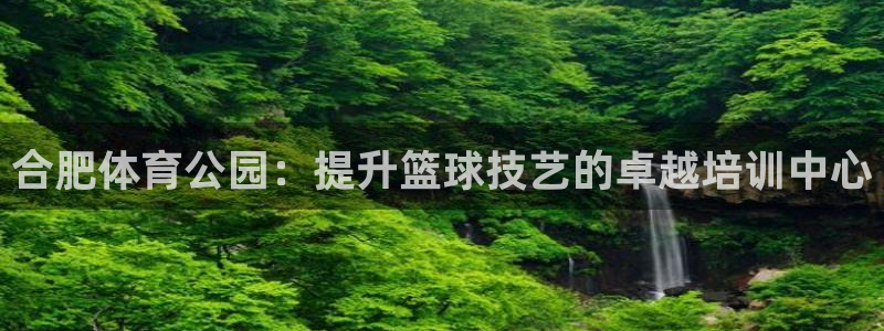 富联平台寇 37oo735：合肥体育公园：提升篮球技