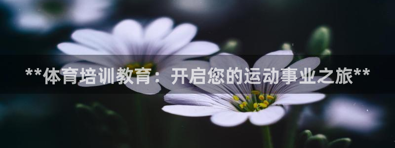 富联是什么板块：**体育培训教育：开启您的运动事业之
