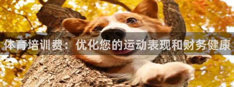 富联平台官网登录不了：体育培训费：优化您的运动表现和