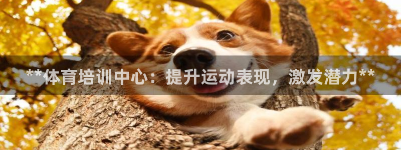 富联平台代理注册条件：**体育培训中心：提升运动表现