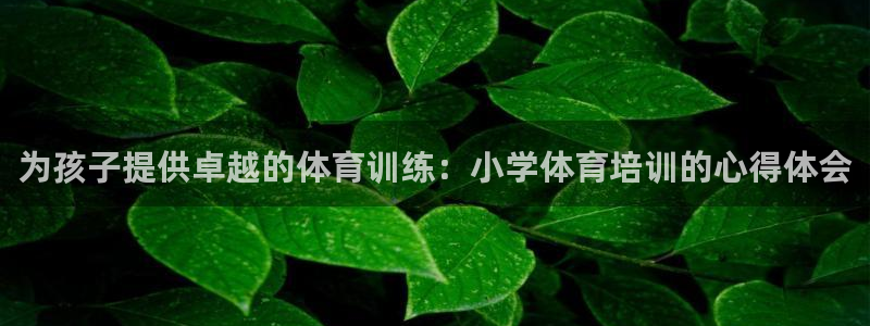 富联官网注册流程图片：为孩子提供卓越的体育训练：小学