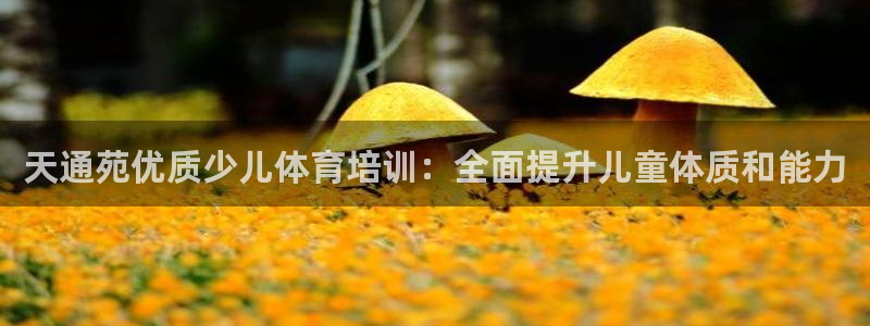 富联平台节7O777：天通苑优质少儿体育培训：全面提