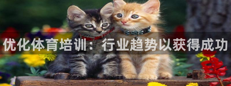 富联娱乐革7O777：优化体育培训：行业趋势以获得成