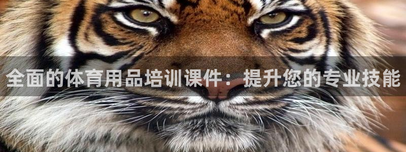 富联娱乐股东结构：全面的体育用品培训课件：提升您的专