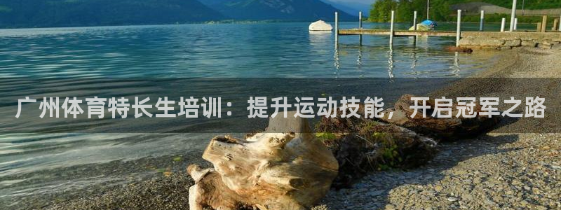 富联平台马 411O31 富联