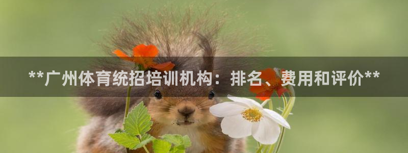 富联娱乐平台开户要钱吗安全吗：**广州体育统招培训机