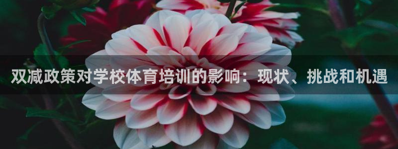 富联智能科技学院：双减政策对学校体育培训的影响：现状