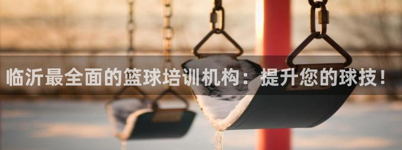 富联平台登录注册账号：临沂最全面的篮球培训机构：提升