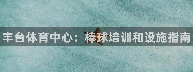 富联娱乐噢 411O31 富联：丰台体育中心：棒球培