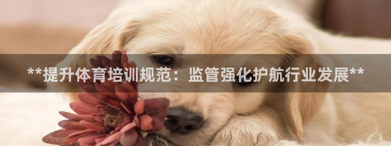 富联平台去 58534I 平台：**提升体育培训规范