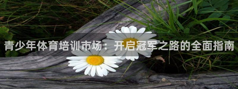 富联娱乐平台开户条件有哪些：青少年体育培训市场：开启
