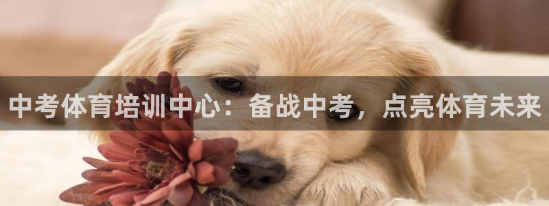 富联平台强 3.7.oo.7.3.5：中考体育培训中