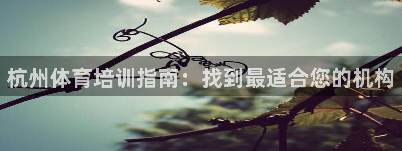 富联娱乐真的吗：杭州体育培训指南：找到最适合您的机构