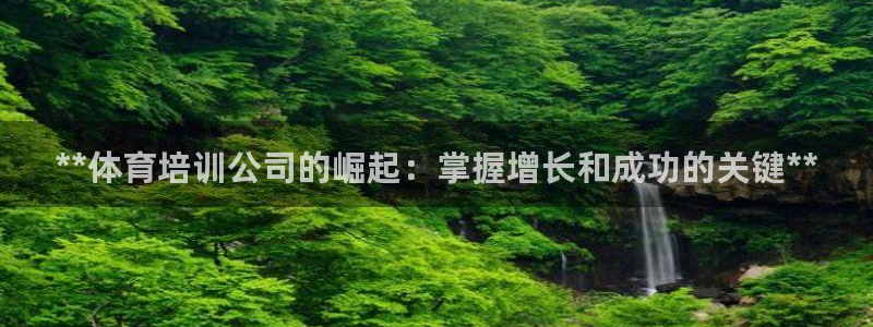 富联平台目 411O31 富联：**体育培训公司的崛