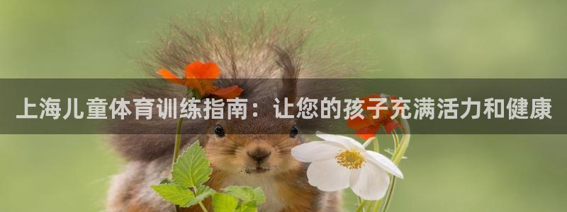 富联平台地址是什么：上海儿童体育训练指南：让您的孩子