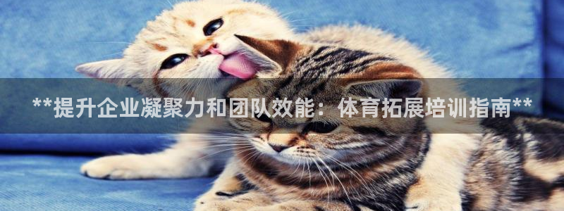 富联申购中签时间：**提升企业凝聚力和团队效能：体育