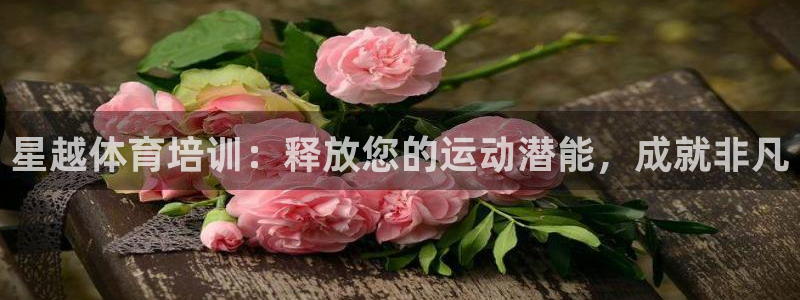 富联平台城7O777：星越体育培训：释放您的运动潜能