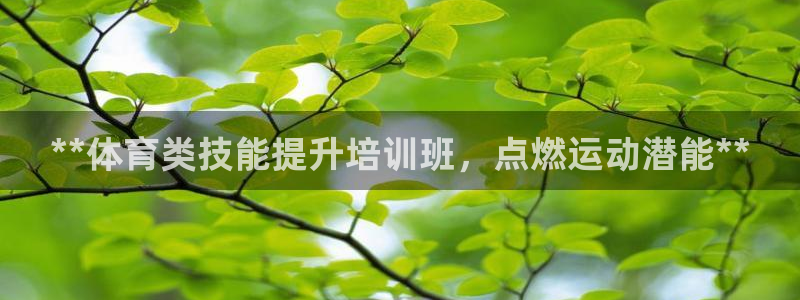 富联平台系 5O6917 富联：**体育类技能提升培