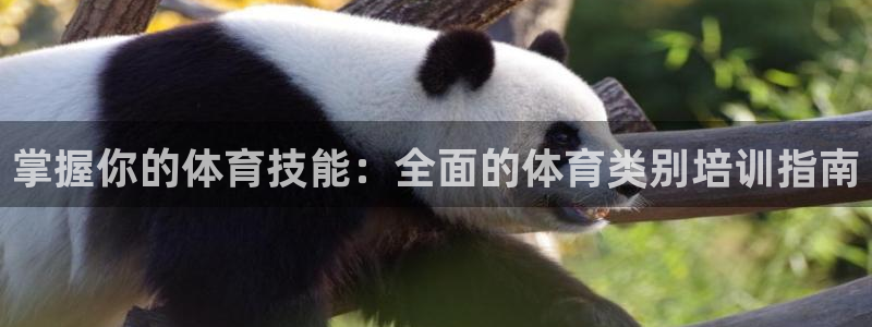 富联官网授权店铺：掌握你的体育技能：全面的体育类别培