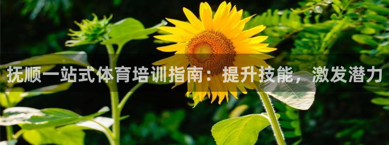 富联平台搜搜 5o69I7：抚顺一站式体育培训指南：