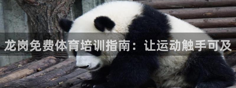 富联平台赢钱不给退怎么办理：龙岗免费体育培训指南：让