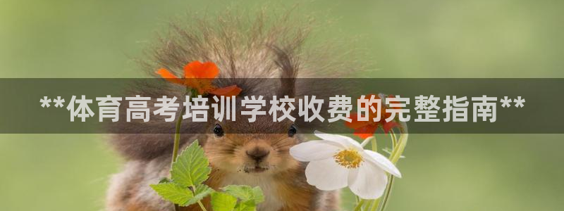 富联官方网站：**体育高考培训学校收费的完整指南**