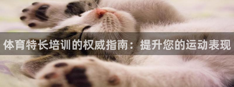 富联娱乐测速：体育特长培训的权威指南：提升您的运动表