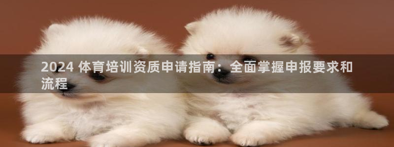 富联平台挂机：2024 体育培训资质申请指南：全面掌