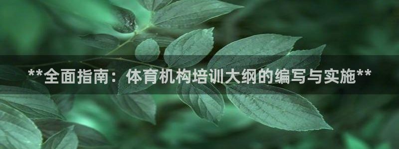富联平台登录注册账号：**全面指南：体育机构培训大纲的编写与