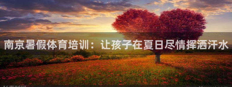 富联申购上市价格预测：南京暑假体育培训：让孩子在夏日