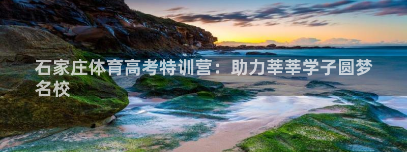 富联平台安装：石家庄体育高考特训营：助力莘莘学子圆梦