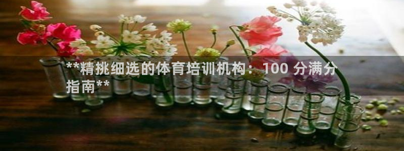 富联娱乐正规吗：**精挑细选的体育培训机构：100 
