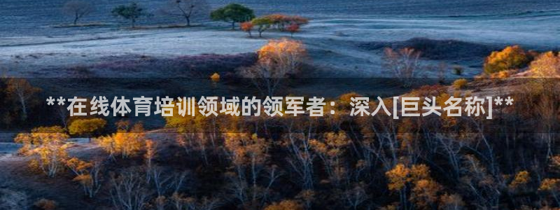 富联超市：**在线体育培训领域的领军者：深入[巨头名