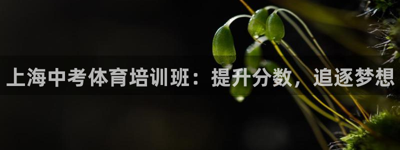 富联官网注册流程图：上海中考体育培训班：提升分数，追