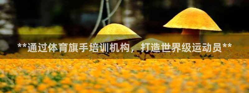 富联官网注册流程视频：**通过体育旗手培训机构，打造