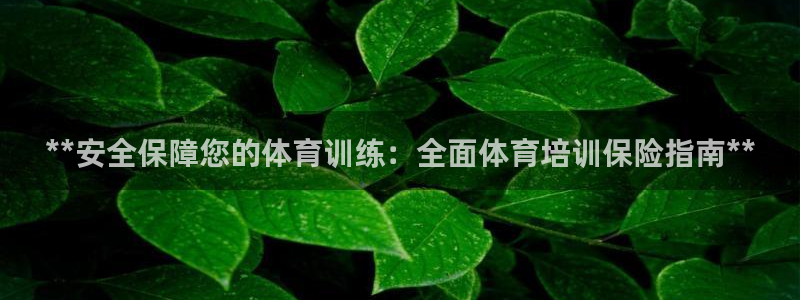 富联科技上市了吗：**安全保障您的体育训练：全面体育