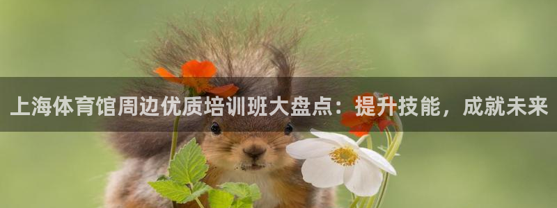 富联平台官网登录：上海体育馆周边优质培训班大盘点：提
