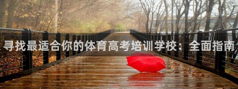 富联官方网站首页登录入口：寻找最适合你的体育高考培训