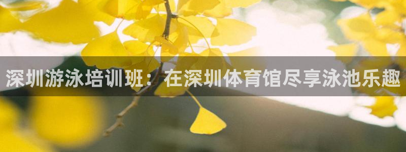 富联股份股价：深圳游泳培训班：在深圳体育馆尽享泳池乐